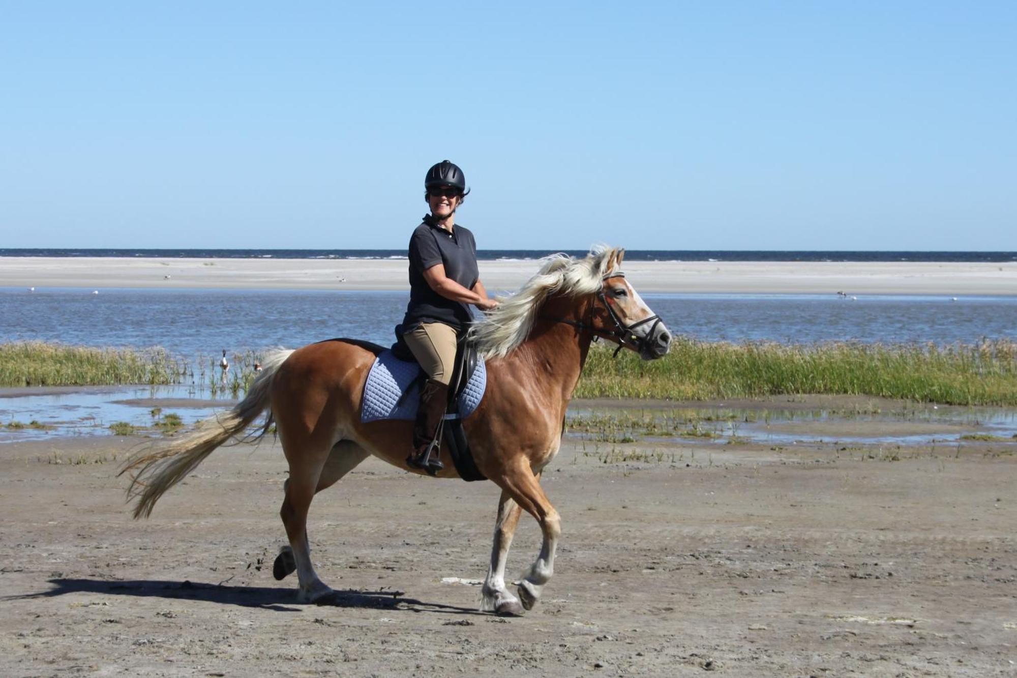 Naar Zee Op Ameland บูเริน ภายนอก รูปภาพ